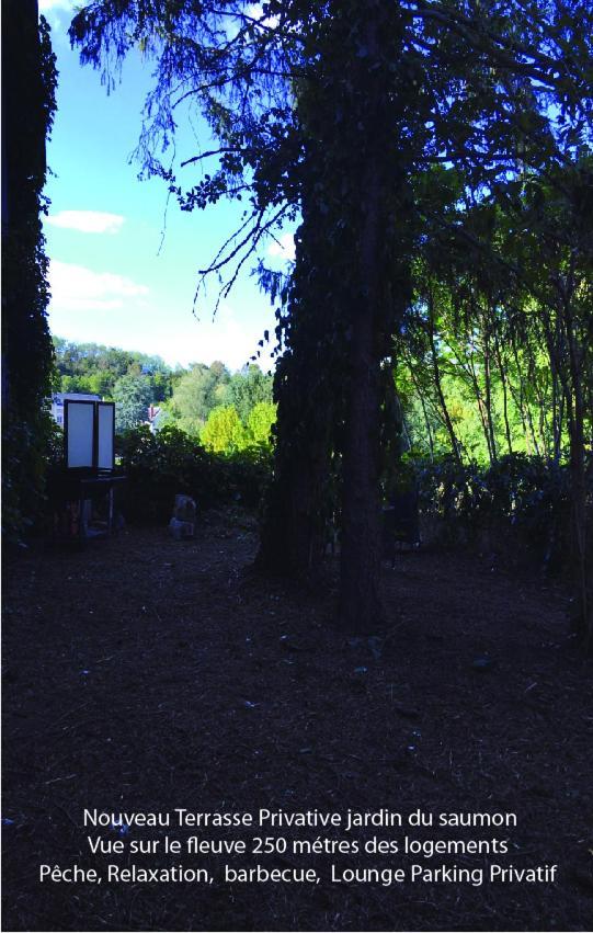 Passage Du Saumon Διαμέρισμα Montrichard Εξωτερικό φωτογραφία